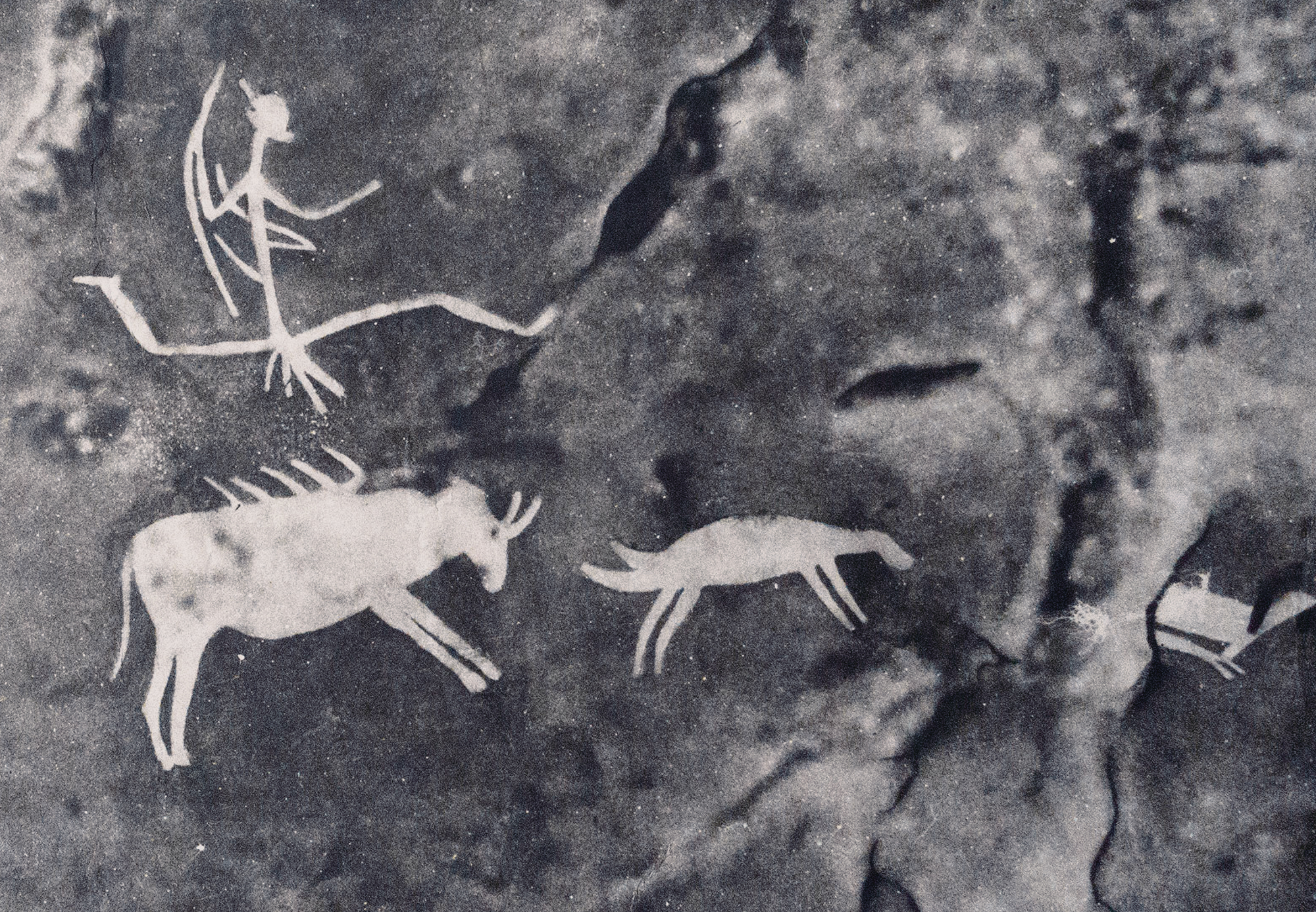 Junction Shelter: from left, an elongated running human, an animal with bristles on its back, a sheep with a double tail, and painted ‘Remains’ (Pager 1971a: 315) emerging from a crack in the rock face. Photographed in the Pager archive at the Rock Art Research Institute, University of the Witwatersrand